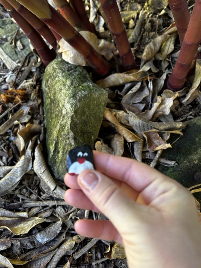 Hand-painted penguin stone #428 hidden at Botanic Gardens of Sydney, Sydney, Australia (photo 2 of 5)