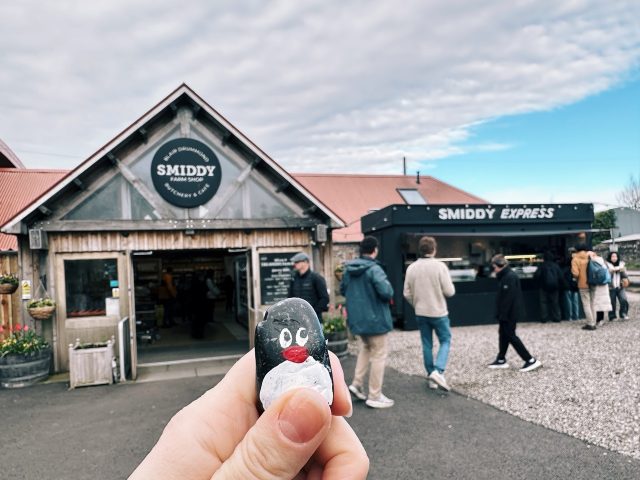 Hand-painted penguin stone #445 hidden at Smiddy's Farm, Stirling, United Kingdom (photo 5 of 5)