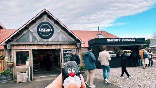 Ručne maľovaný tučniakový kameň č. 445 ukrytý na mieste Smiddy’s Farm, Stirling, Spojené kráľovstvo