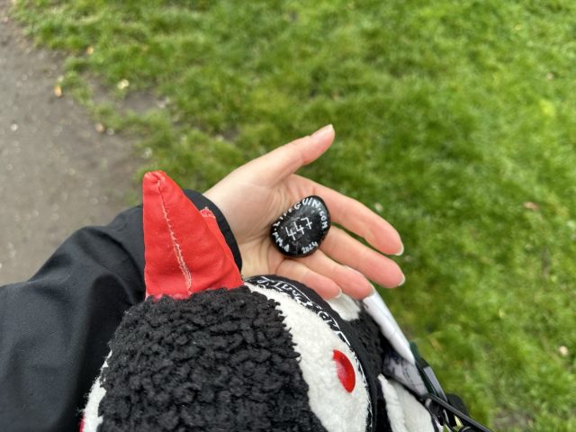 Hand-painted penguin stone #447 hidden at Edinburgh Castle, Edinburgh, United Kingdom (photo 3 of 5)