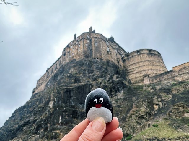 Hand-painted penguin stone #447 hidden at Edinburgh Castle, Edinburgh, United Kingdom (photo 5 of 5)