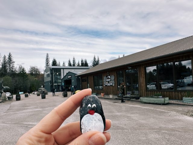 Hand-painted penguin stone #466 hidden at Nevis Range, Fort William, United Kingdom (photo 2 of 5)