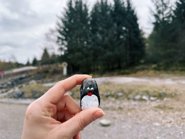 Hand-painted penguin stone #466 hidden at Nevis Range, Fort William, United Kingdom (photo 3 of 5)