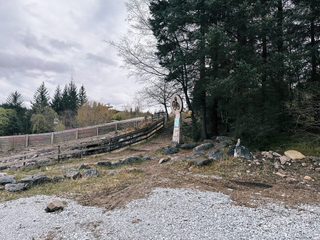 Hand-painted penguin stone #466 hidden at Nevis Range, Fort William, United Kingdom (photo 5 of 5)