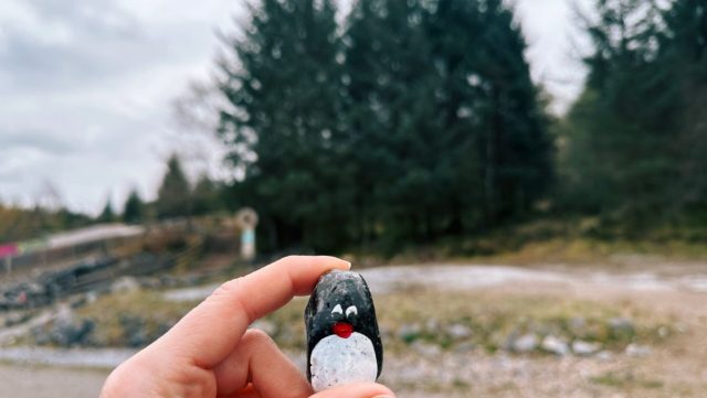Ručne maľovaný tučniakový kameň č. 466 ukrytý na mieste Nevis Range, Fort William, Spojené kráľovstvo