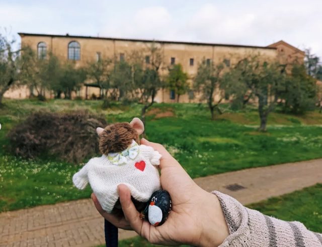 Ručne maľovaný tučniakový kameň č. 469 ukrytý na mieste Laerte's Tree, Siena, Taliansko (fotka 5 z 5)