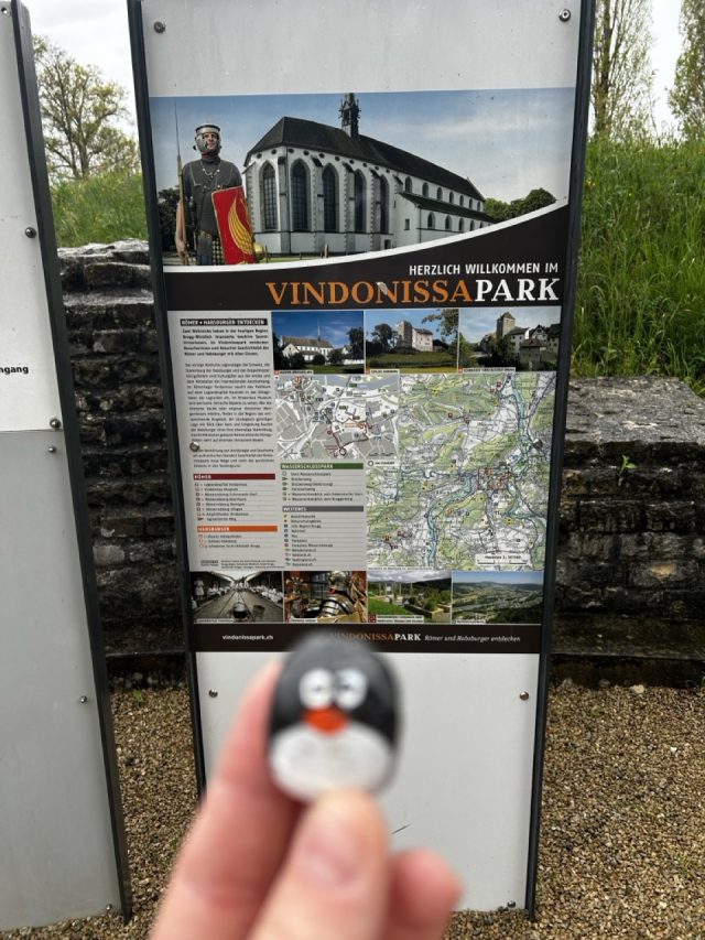 Hand-painted penguin stone #476 hidden at Vindonissa, Windisch, Switzerland (photo 2 of 5)