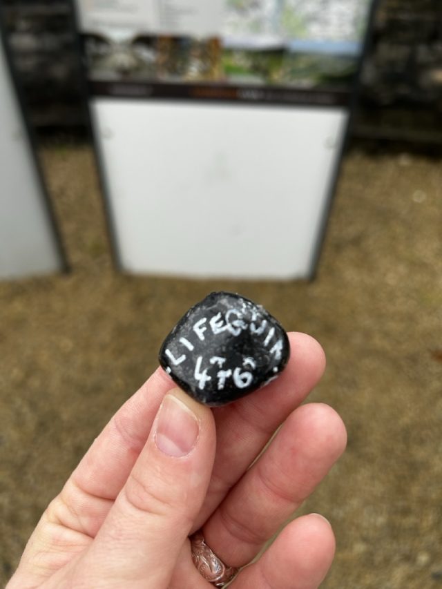 Hand-painted penguin stone #476 hidden at Vindonissa, Windisch, Switzerland (photo 3 of 5)