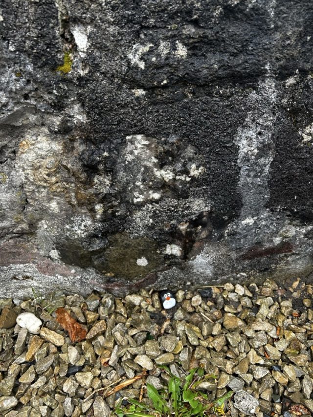 Hand-painted penguin stone #476 hidden at Vindonissa, Windisch, Switzerland (photo 4 of 5)