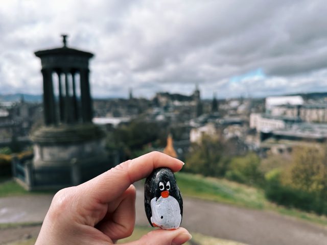 Hand-painted penguin stone #478 hidden at Observatory House, Edinburgh, United Kingdom (photo 4 of 5)