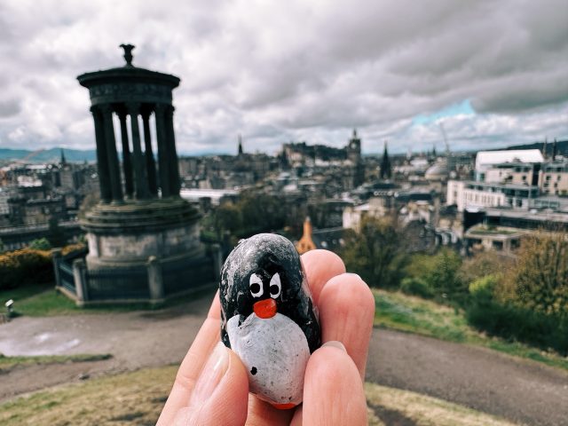 Hand-painted penguin stone #478 hidden at Observatory House, Edinburgh, United Kingdom (photo 5 of 5)