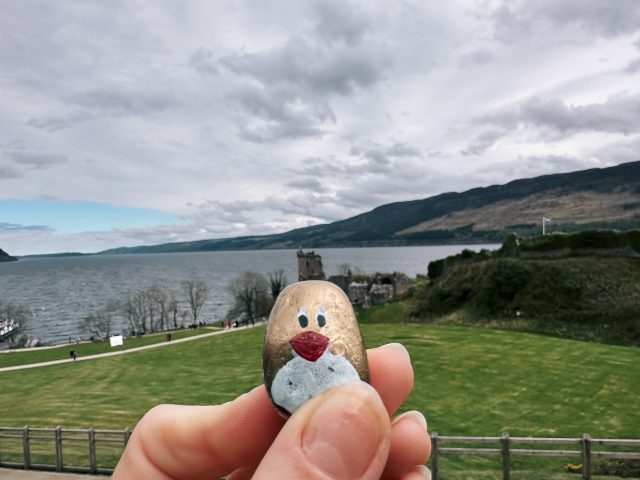 Hand-painted penguin stone #508 hidden at Urquhart Castle, Drumnadrochit, United Kingdom (photo 2 of 5)