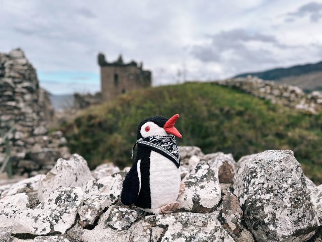 Hand-painted penguin stone #508 hidden at Urquhart Castle, Drumnadrochit, United Kingdom (photo 3 of 5)