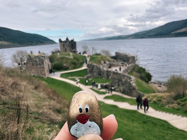 Hand-painted penguin stone #508 hidden at Urquhart Castle, Drumnadrochit, United Kingdom (photo 4 of 5)