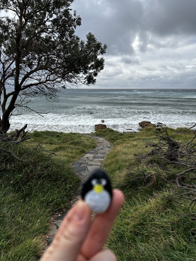 Hand-painted penguin stone #568 hidden at Cape Byron Lighthouse, Baron Bay, Australia (photo 2 of 4)