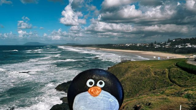 Ručne maľovaný tučniakový kameň č. 646 ukrytý na mieste Tacking Point Lighthouse, Port Macquarie, Austrália