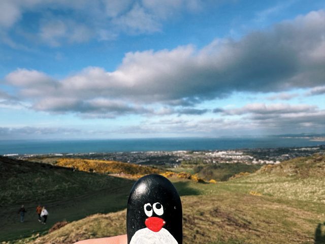 Hand-painted penguin stone #668 hidden at Stanthony's Chapel, Edinburgh, United Kingdom (photo 2 of 5)
