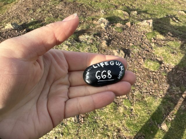 Hand-painted penguin stone #668 hidden at Stanthony's Chapel, Edinburgh, United Kingdom (photo 3 of 5)