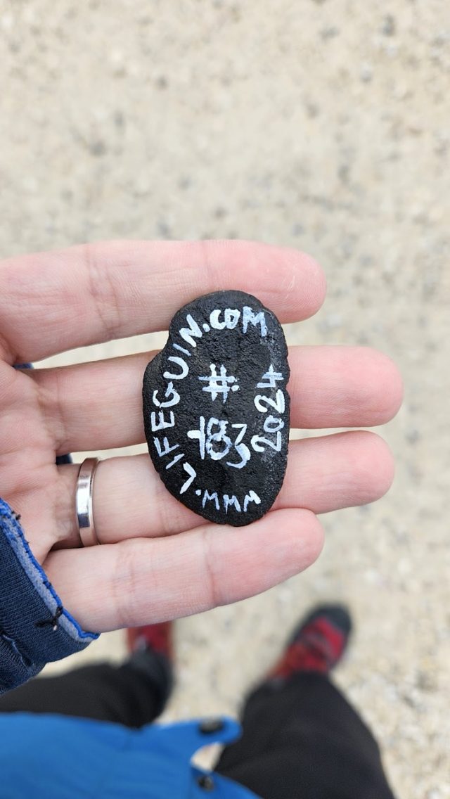 Hand-painted penguin stone #183 hidden at The Eagle's Nest, Berchtesgaden, Germany (photo 2 of 5)