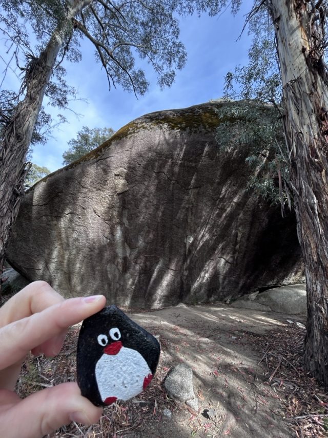 Hand-painted penguin stone #190 hidden at Hanging Rock, Tidbinbilla Nature Reserve, Australia (photo 3 of 5)