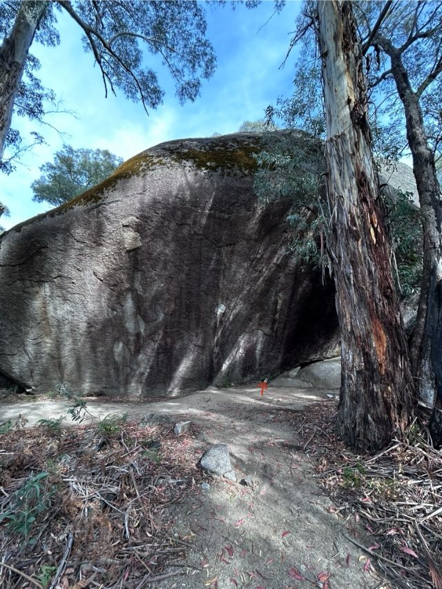 Hand-painted penguin stone #190 hidden at Hanging Rock, Tidbinbilla Nature Reserve, Australia (photo 4 of 5)