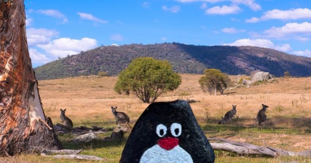 Ručne maľovaný tučniakový kameň č. 190 ukrytý na mieste Hanging Rock, Tidbinbilla Nature Reserve, Austrália
