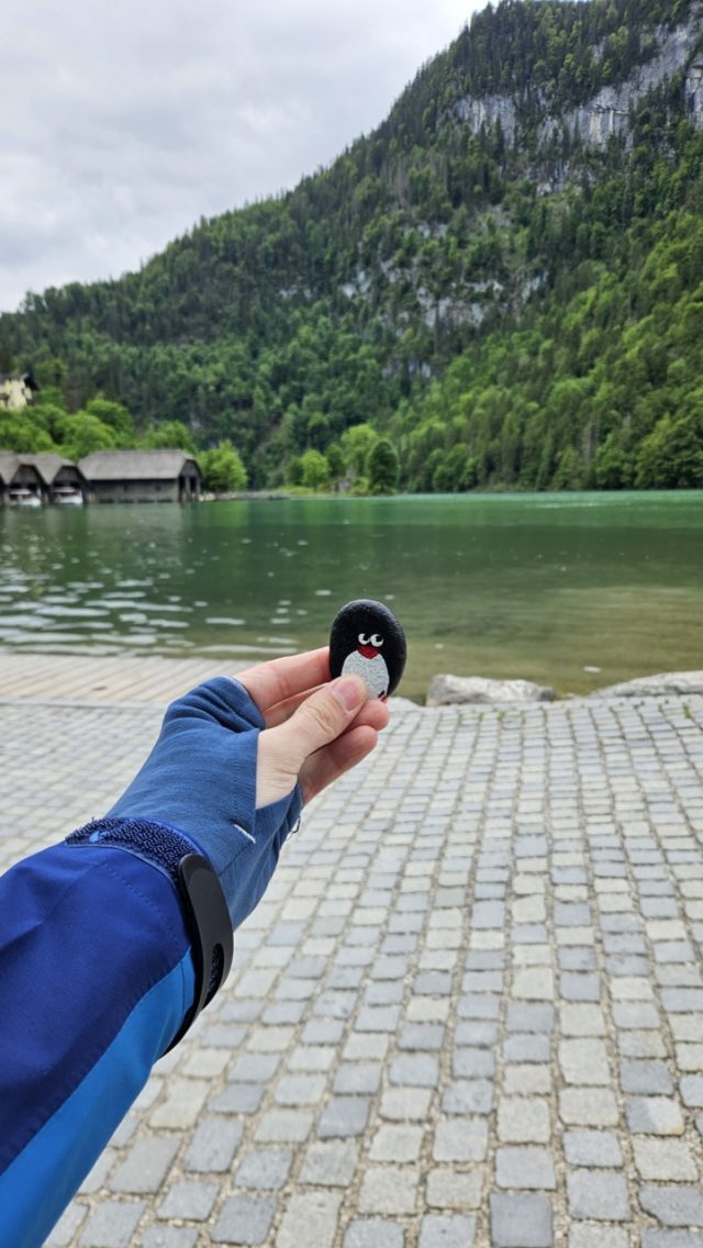 Hand-painted penguin stone #226 hidden at Luitpold von Bayern, Konigssee, Germany (photo 2 of 4)