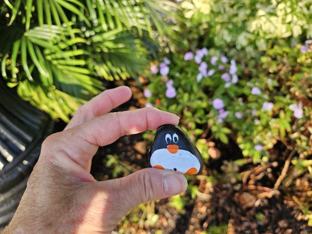 Hand-painted penguin stone #333 hidden at Naples, Florida, United States (photo 5 of 5)