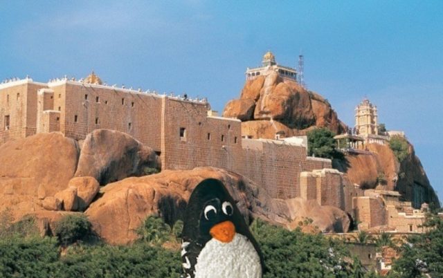 Hand-painted penguin stone #339 hidden at Rock Fort, Tiruchirapalli, India