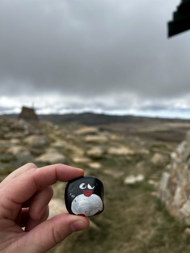 Hand-painted penguin stone #417 hidden at Seamans Hut, Kosciuszko National Park, Australia (photo 2 of 5)