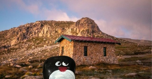 Ručne maľovaný tučniakový kameň č. 417 ukrytý na mieste Seamans Hut, Kosciuszko National Park, Austrália