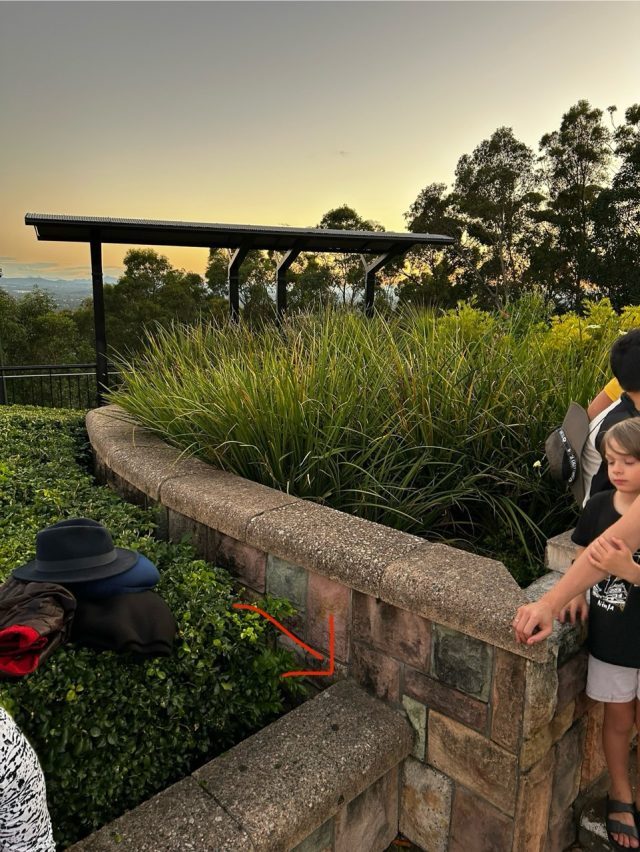Hand-painted penguin stone #435 hidden at Mount Coot-Tha Summit Lookout, Brisbane, Australia (photo 5 of 5)