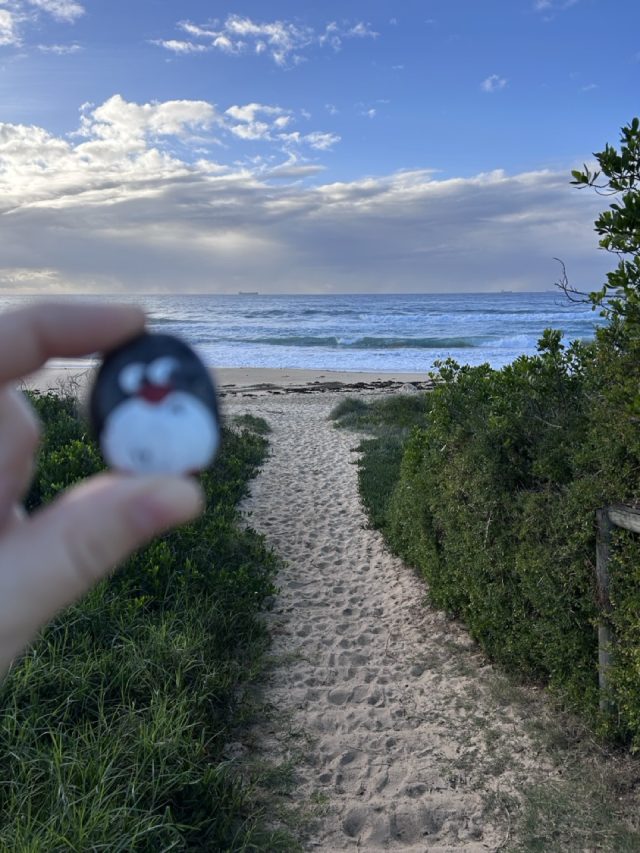 Hand-painted penguin stone #448 hidden at Bulli Beach, Wollongong, Australia (photo 2 of 5)