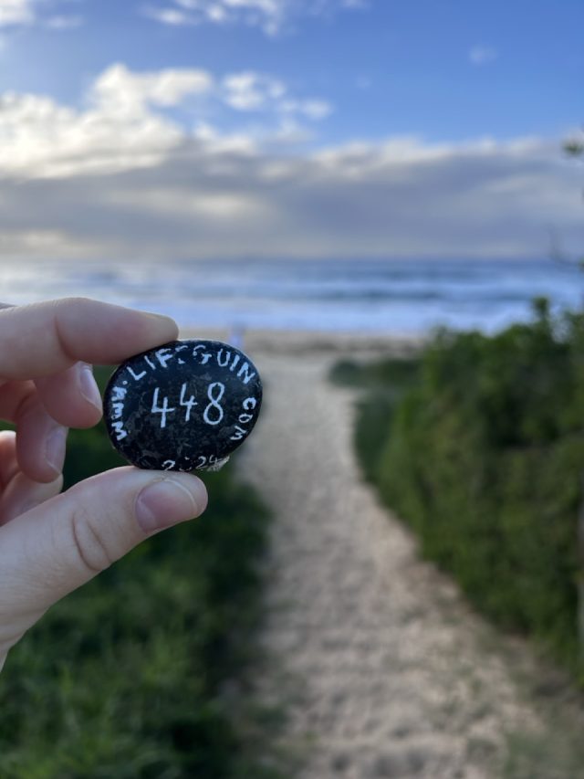 Hand-painted penguin stone #448 hidden at Bulli Beach, Wollongong, Australia (photo 3 of 5)