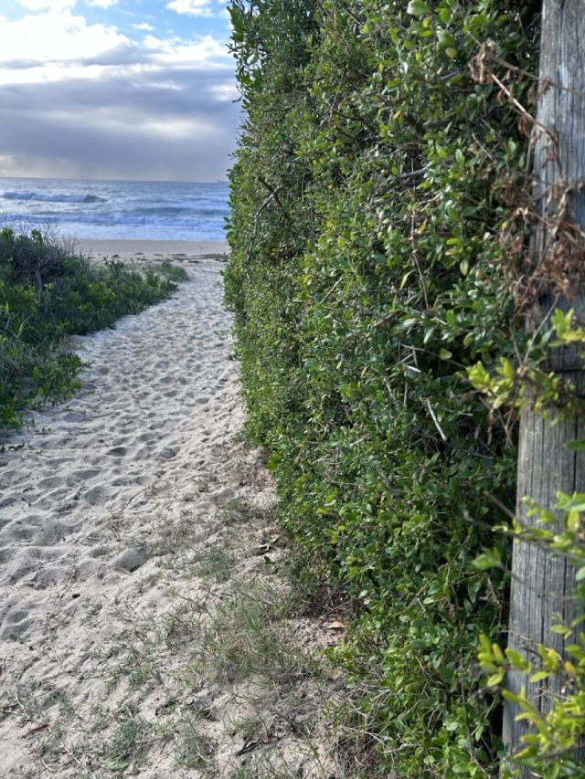 Hand-painted penguin stone #448 hidden at Bulli Beach, Wollongong, Australia (photo 5 of 5)