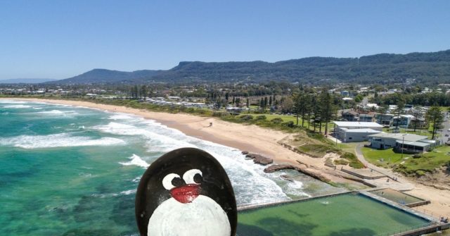 Ručne maľovaný tučniakový kameň č. 448 ukrytý na mieste Bulli Beach, Wollongong, Austrália