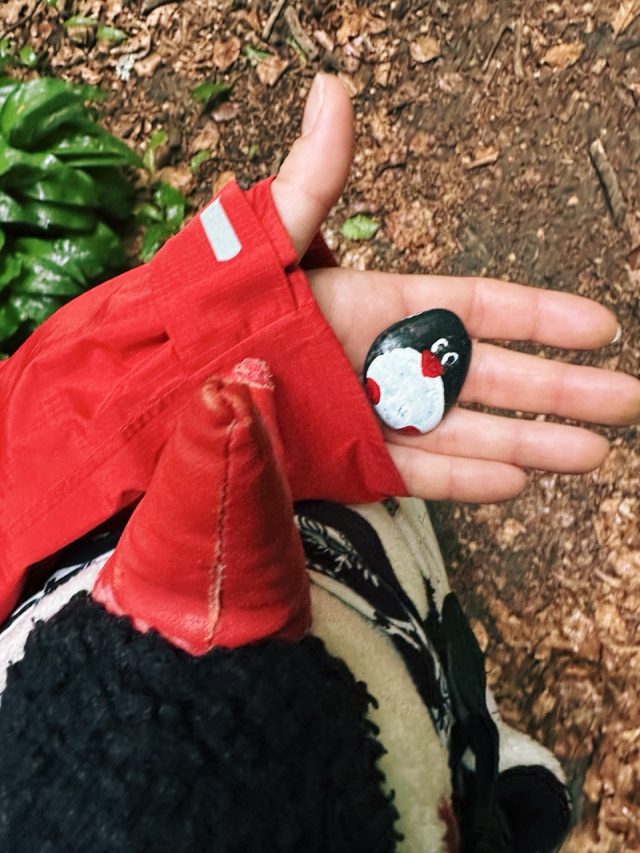Hand-painted penguin stone #455 hidden at Zaruby Sedlo, Little Carpathians, Slovakia (photo 3 of 5)