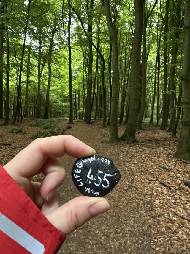 Hand-painted penguin stone #455 hidden at Zaruby Sedlo, Little Carpathians, Slovakia (photo 4 of 5)