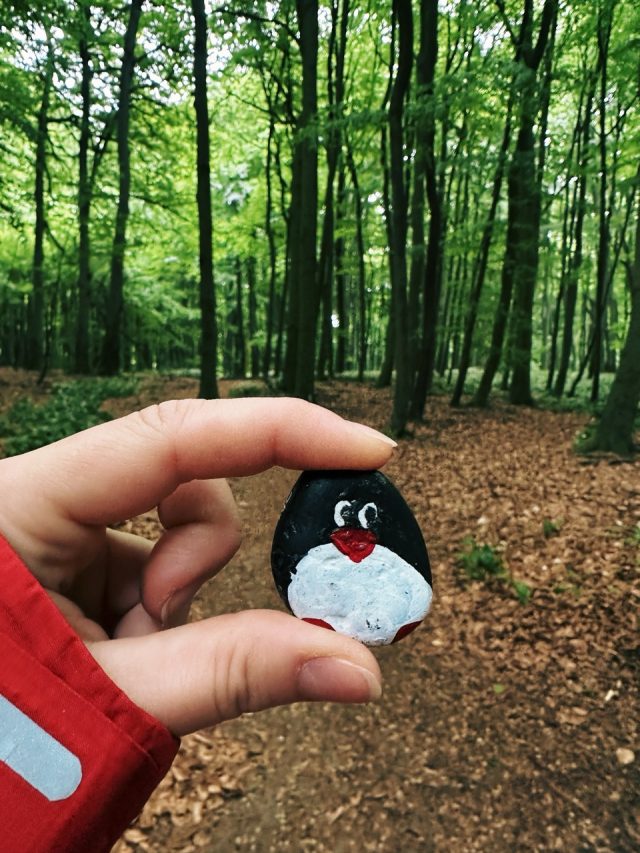 Hand-painted penguin stone #455 hidden at Zaruby Sedlo, Little Carpathians, Slovakia (photo 5 of 5)