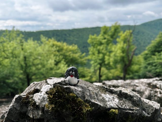 Hand-painted penguin stone #461 hidden at Viewpoint near Ostry Kamen, Little Carpathians, Slovakia (photo 2 of 5)