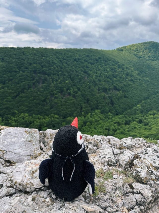Hand-painted penguin stone #461 hidden at Viewpoint near Ostry Kamen, Little Carpathians, Slovakia (photo 3 of 5)