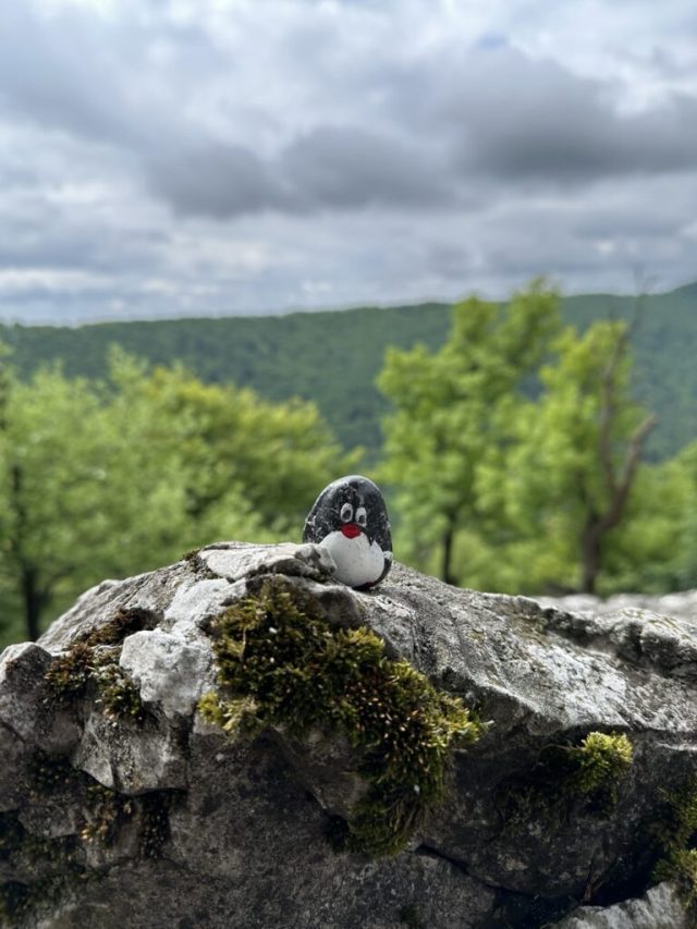 Hand-painted penguin stone #461 hidden at Viewpoint near Ostry Kamen, Little Carpathians, Slovakia (photo 4 of 5)