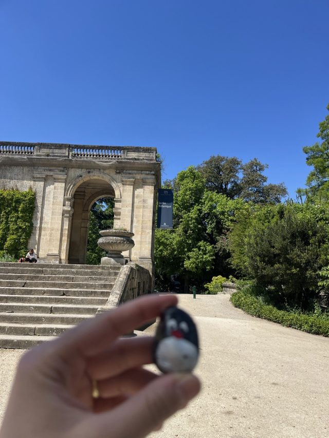 Ručne maľovaný tučniakový kameň č. 462 ukrytý na mieste Jardin Public, Bordeaux, Francúzsko (fotka 2 z 5)