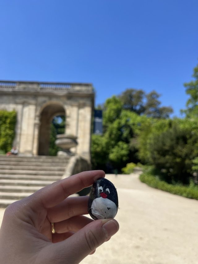 Ručne maľovaný tučniakový kameň č. 462 ukrytý na mieste Jardin Public, Bordeaux, Francúzsko (fotka 3 z 5)