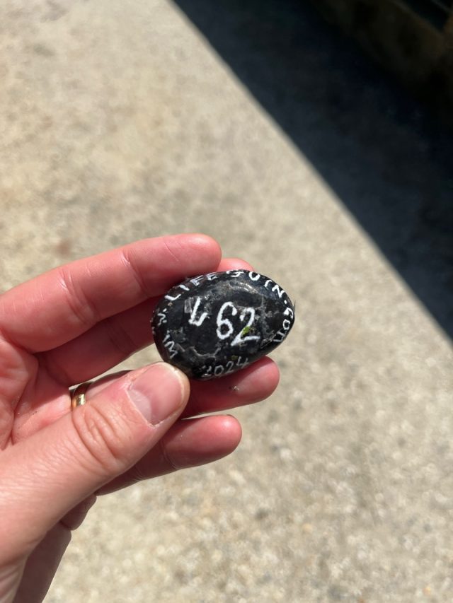 Ručne maľovaný tučniakový kameň č. 462 ukrytý na mieste Jardin Public, Bordeaux, Francúzsko (fotka 4 z 5)