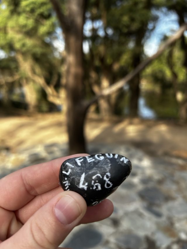Hand-painted penguin stone #468 hidden at Sovereign Hill, Ballarat, Australia (photo 2 of 5)