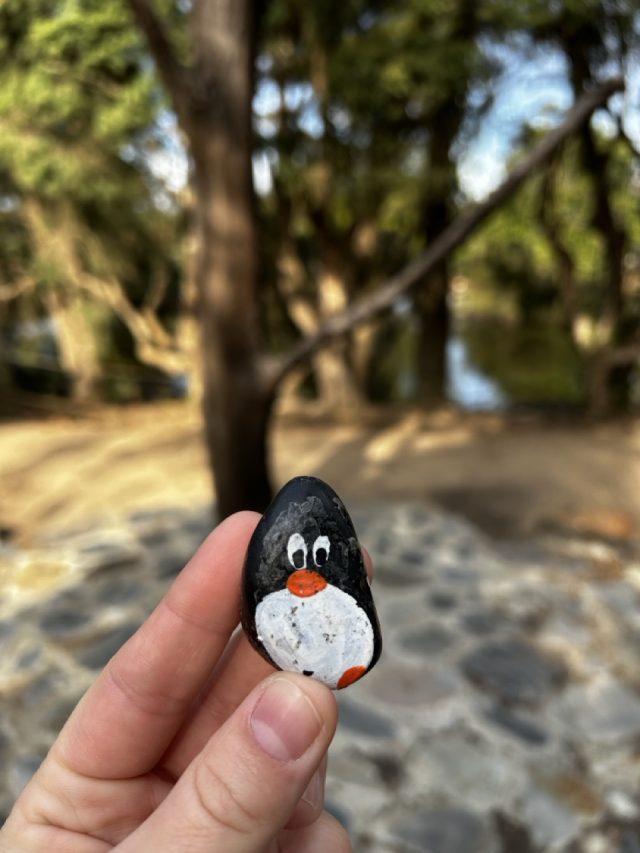 Hand-painted penguin stone #468 hidden at Sovereign Hill, Ballarat, Australia (photo 3 of 5)