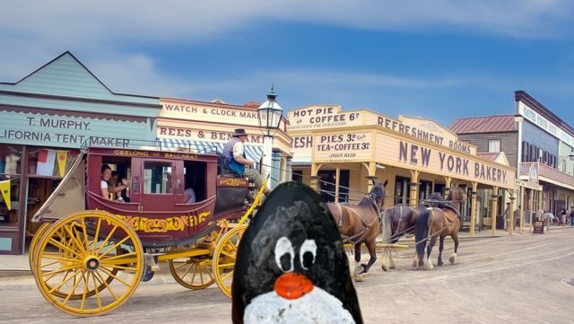 Ručne maľovaný tučniakový kameň č. 468 ukrytý na mieste Sovereign Hill, Ballarat, Austrália