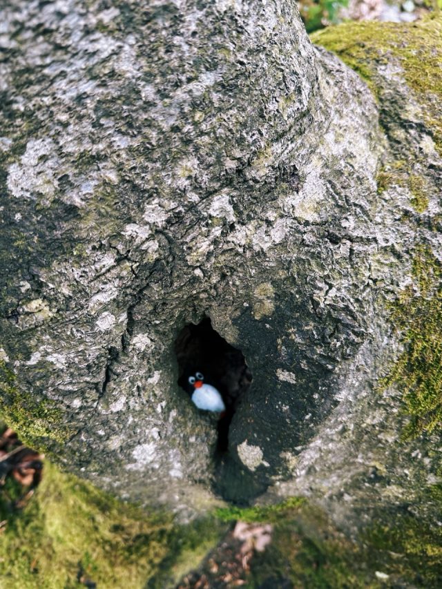 Hand-painted penguin stone #473 hidden at Zaruby Crossroad, Little Carpathians, Slovakia (photo 4 of 5)