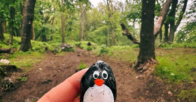 Hand-painted penguin stone #473 hidden at Zaruby Crossroad, Little Carpathians, Slovakia